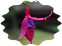 Citra FX Photo Effects Mask