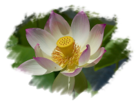 Citra FX Photo Effects Mask