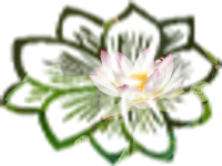 Citra FX Photo Effects Mask